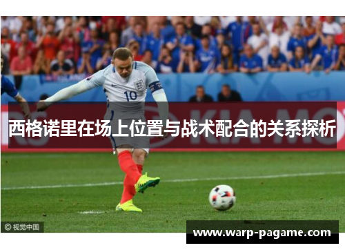 西格诺里在场上位置与战术配合的关系探析